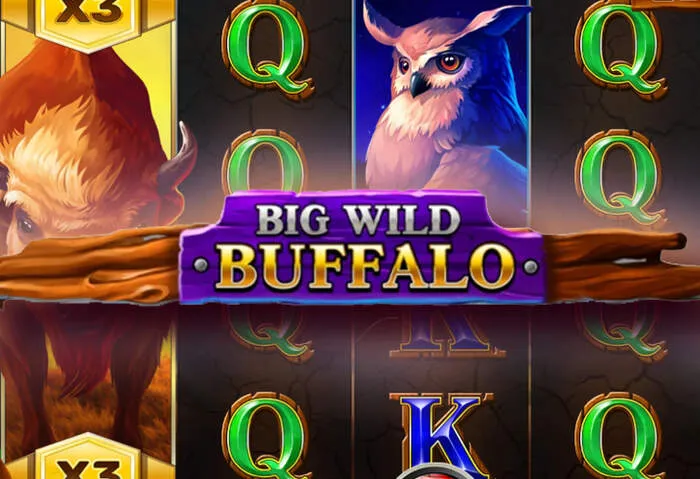 Αξιόπιστες αξιολογήσεις για το Gbajeecasino και την εμπειρία παιχνιδιού.